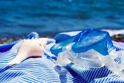 Seashell and diving glasses on the background of the blue sea Stock Photos