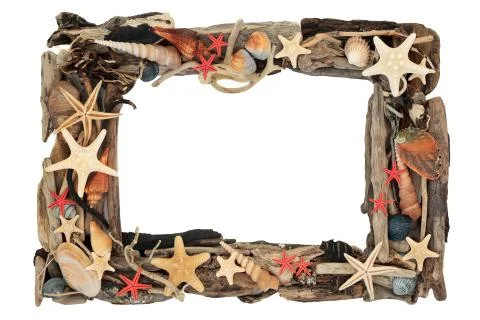 Seashell and Driftwood Frame Stock Photos