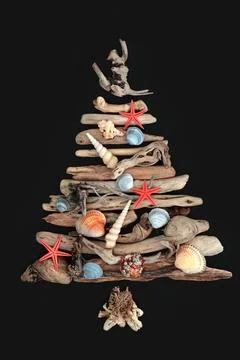 Seashell and Driftwood Tree Shape Concept Design 스톡 사진