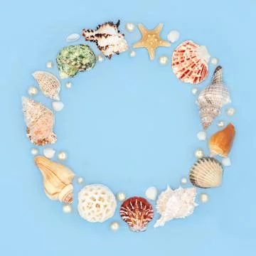 Seashell and Pearl Natural Summer Wreath Stock Photos