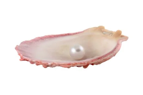 Seashell and pearl Stock Photos