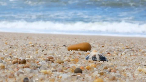 Seashell and pebble lie on sandy beach with waves breaking in background Stock Footage 108195072