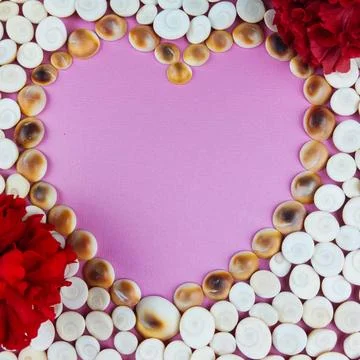 Seashell and Red Flower Frame on Pink Background with Copy Space Stock Photos