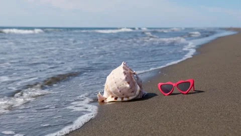 Seashell and red sunglasses on the seashore. Beach holiday concept. 库存影片 284297407