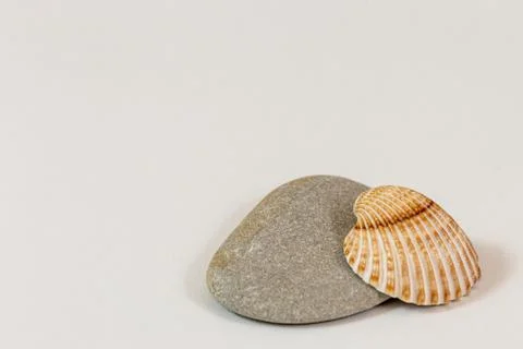 Seashell and the rock Stock Photos