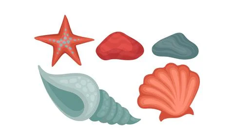 Seashell and Starfish as Beach and Ocean Bottom Objects Vector Set Stock Illustration