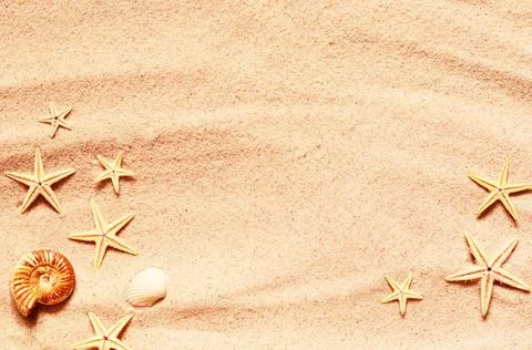 Seashell and starfish pattern on the sandy beach. Summer background. Stock Photos