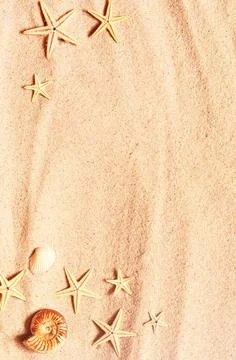 Seashell and starfish pattern on the sandy beach. Summer background. Stock Photos