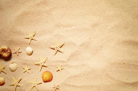 Seashell and starfish pattern on the sandy beach. Summer background. Foto stock