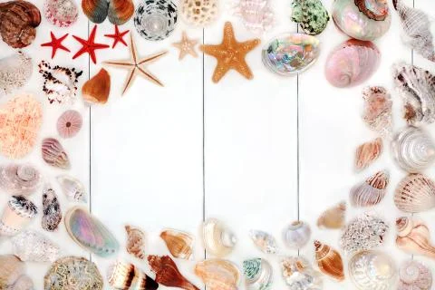 Seashell Background Border Stock Photos