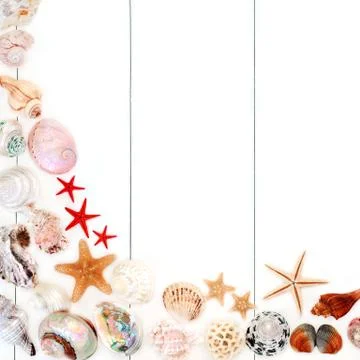 Seashell Background Border Stock Photos