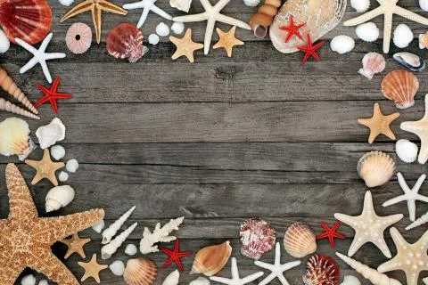 Seashell Background Border on Rustic Wood Stock Photos