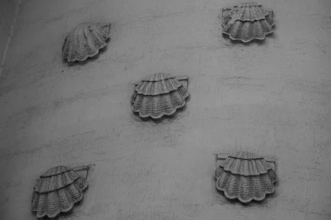 Seashell background wall texture marine theme Foto stock