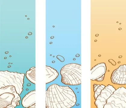 Seashell banner set Stock Illustration