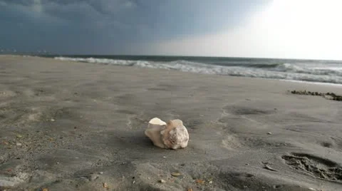 Seashell on Beach - Dark Skies Stock Footage 11427770
