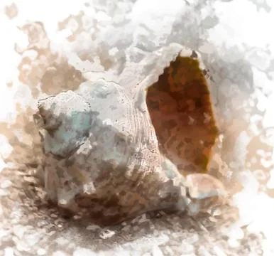 Seashell on the beach Stock Illustration