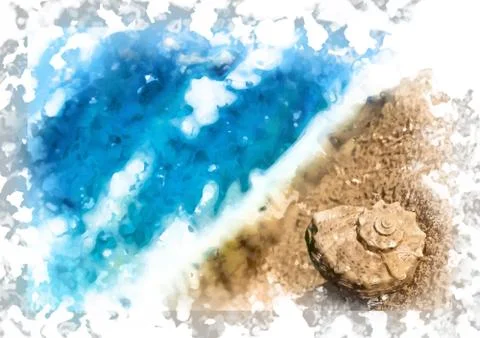 Seashell on the beach Stock Illustration