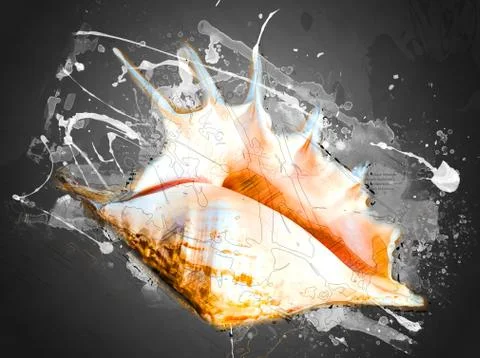 Seashell on the beach Stock Illustration