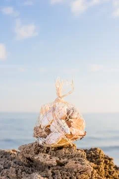 Seashell on the beach Photos