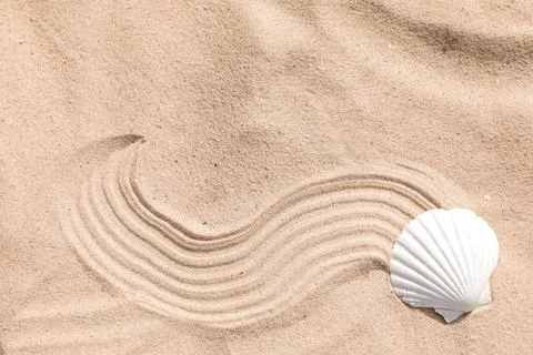 Seashell on beach sand with wave pattern, top view. Space for text Stock Photos