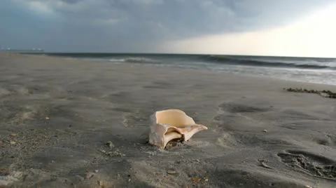 Seashell on Beach - Storm Approaching 스톡 동영상 11427855