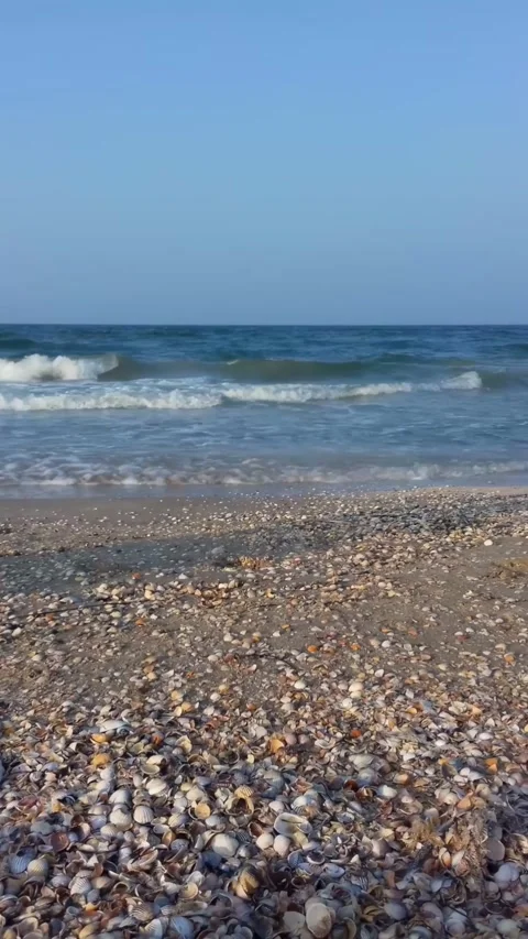 Seashell Beach with Waves Coastal Nature Scene Stock Footage 327548189