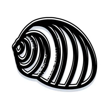 Seashell black and white graphic vector drawing Stock Illustration