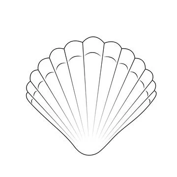 Seashell in black silhouette. Outline drawing of scallop. Vector illustration 스톡 일러스트
