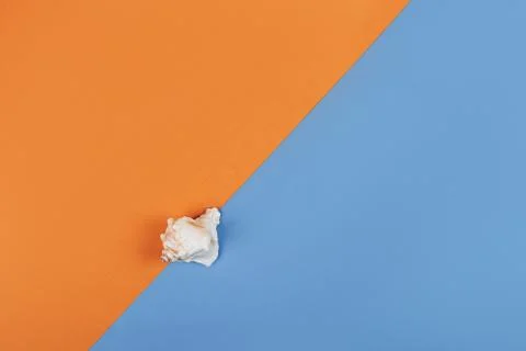 Seashell on blue and orange background. Stock Photos