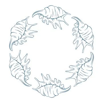 Seashell border frame with murex shell arranged in circle in line art style Stock Illustration