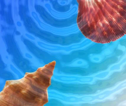 Seashell border Stock Photos