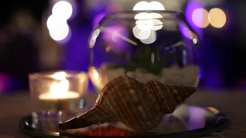 Seashell, burning candle, transparent glass vase on round mirror surface  Stock Footage 72741409