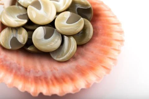 Seashell with buttons on white background Stock Photos