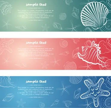 Seashell card Illustrazione stock