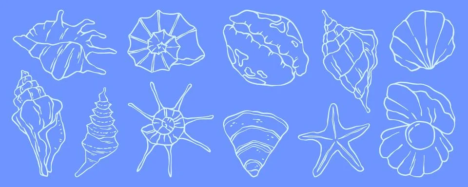Seashell collection on blue background Stock Illustration