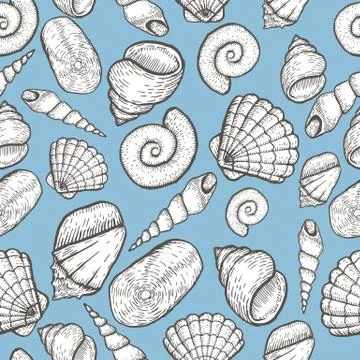 Seashell collection hand drawn aquatic doodle vector illustration. Sketch Stock Illustration