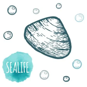 Seashell collection hand drawn aquatic doodle vector illustration. Sketch Illustrazione stock