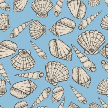 Seashell collection hand drawn aquatic doodle vector illustration. Sketch Stock Illustration