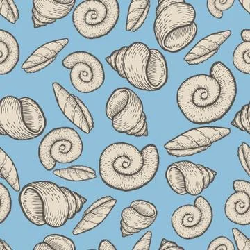 Seashell collection hand drawn aquatic doodle vector illustration. Sketch Illustrazione stock