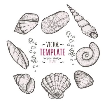 Seashell collection hand drawn aquatic doodle vector illustration. Sketch. Stock Illustration