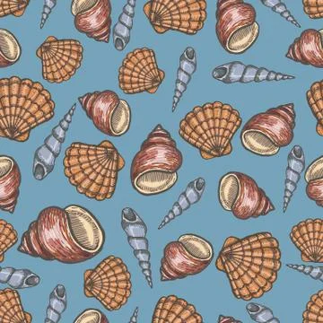 Seashell collection hand drawn aquatic doodle vector illustration. Sketch. 스톡 일러스트