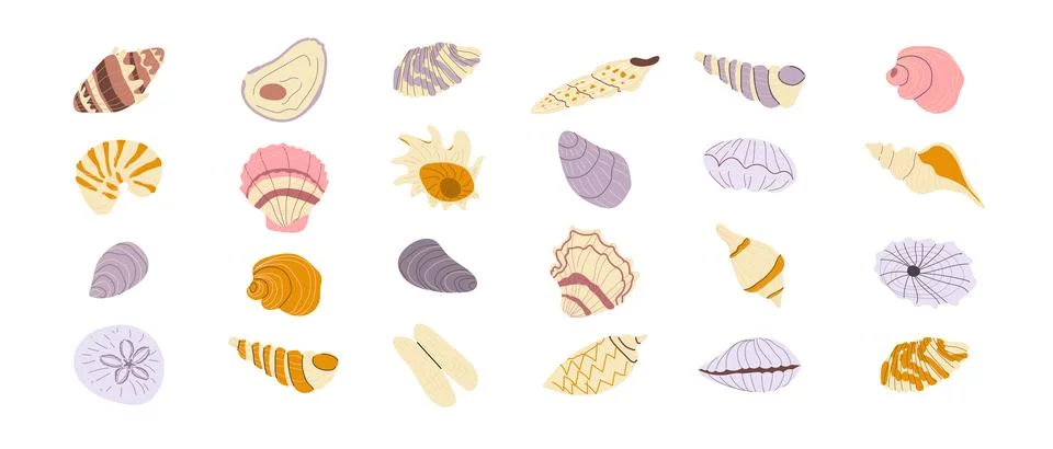 Seashell Collection Icons in Flat Style for Coastal Themes Stock Illustration