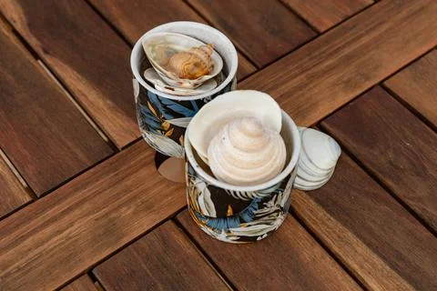 Seashell Collection Patterned Cups Table Decorative Фото