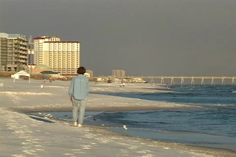 Seashell Collector Stock Footage 613852