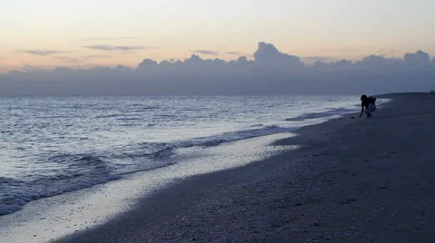 Seashell Collector Stock Footage 1216061