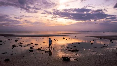 Seashell Collector Stock Photos