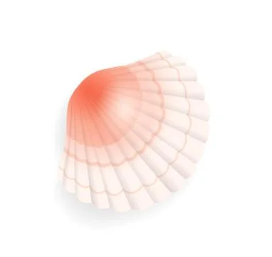 Seashell Conch Icon Closeup Vector Illustration Illustrazione stock