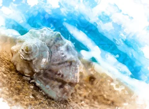 Seashell on concrete Stock Illustration