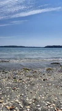 Seashell Covered Beach with Calm Ocean and Blue Sky Stock Photos