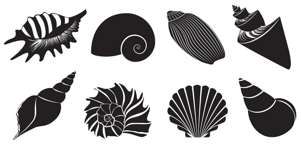 Seashell dark black silhouettes set Illustrazione stock